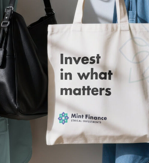 Mint Finance branding and ux
