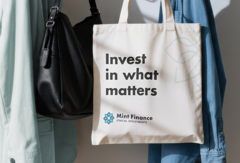 Mint Finance branding and ux